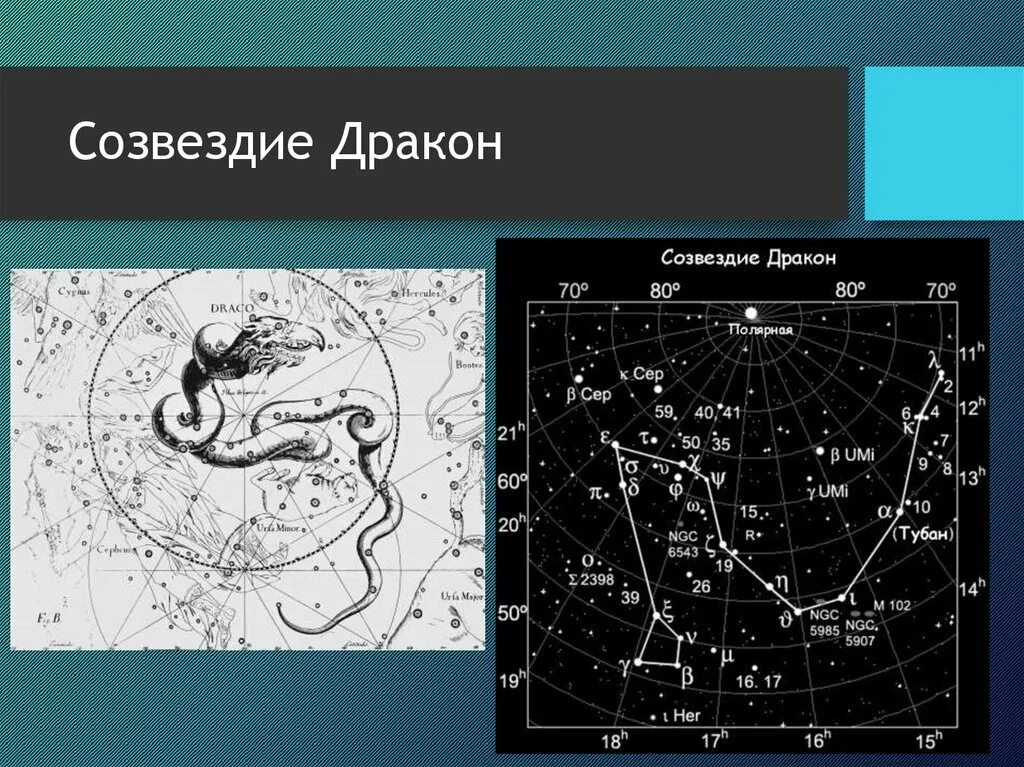 Созвездие дракон Этамин. Созвездие дракона яркие звезды. Созвездие дракона история открытия. Созвездие дракона на карте звездного неба с названиями звезд. Найденные карты звездного неба