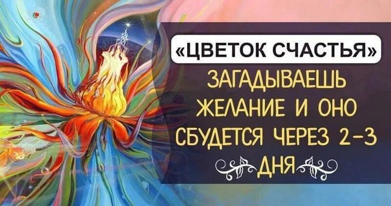 Сайт желание сбудется. Исполнение желаний. День исполнения желаний. Цветы сбывшихся желаний. Исполнение желаний картинки.