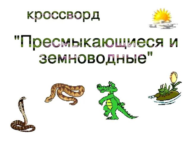 Кроссворд на тему пресмыкающие и земноводные. Кроссворд про пресмыкающихся. Кроссворд на тему земноводные и пресмыкающиеся. Загадки на тему земноводные. Кроссворд земноводные биология