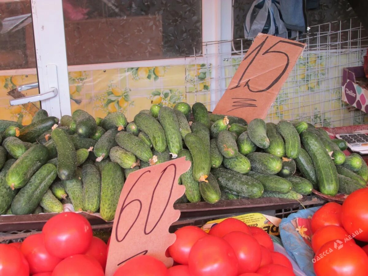 Огурцы на базаре. Покажи все украинские овощи. Огурцы на прилавке. Огурцы и помидоры на прилавке. Огурцы на базаре.