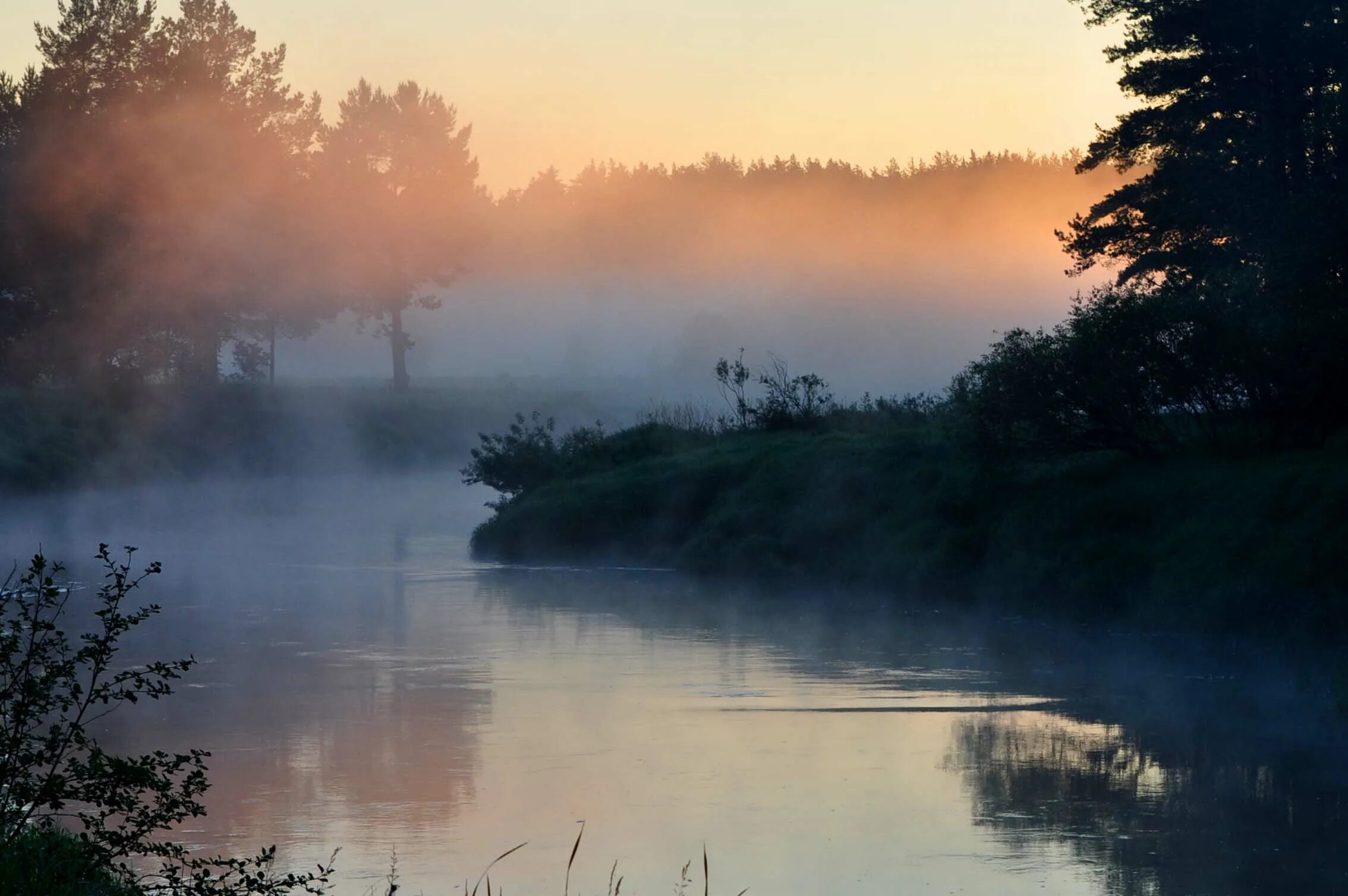 Где туман. Утренний туман на реке. Туманное утро. Туманное озеро. Туманное утро на реке.