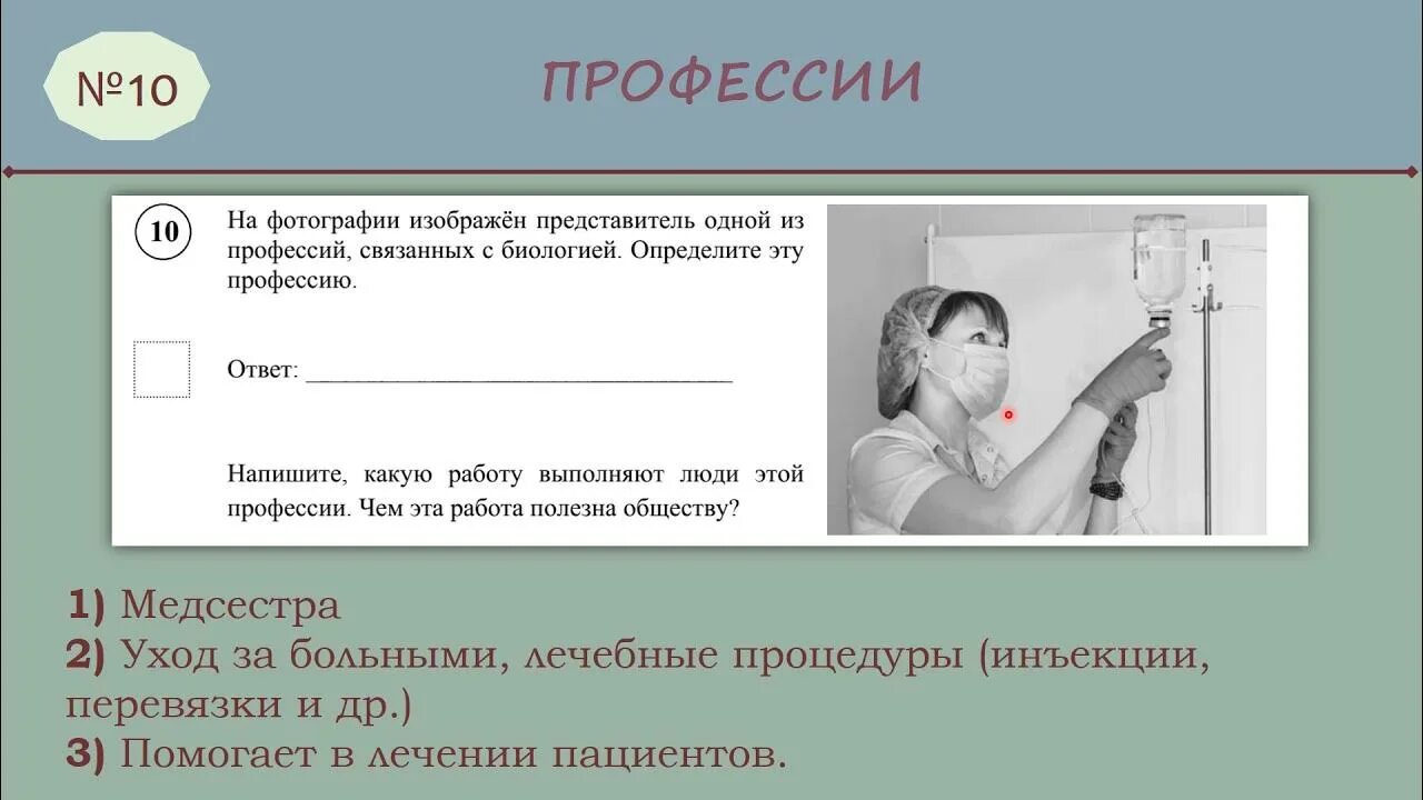 ВПР по биологии 5 класс профессии. Профессии с биологией ВПР. ВПР по биологии 5 класс профессии связанные с биологией. Задание ВПР биология.