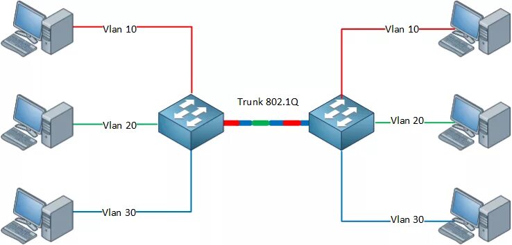 Trunk function