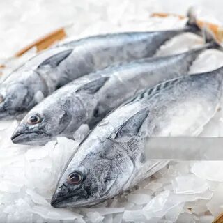 Морожен ая рыба