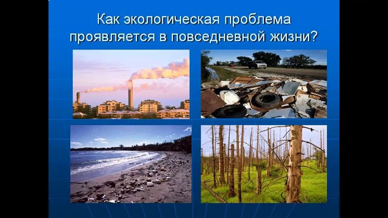 Экологические проблемы мира - YouTube