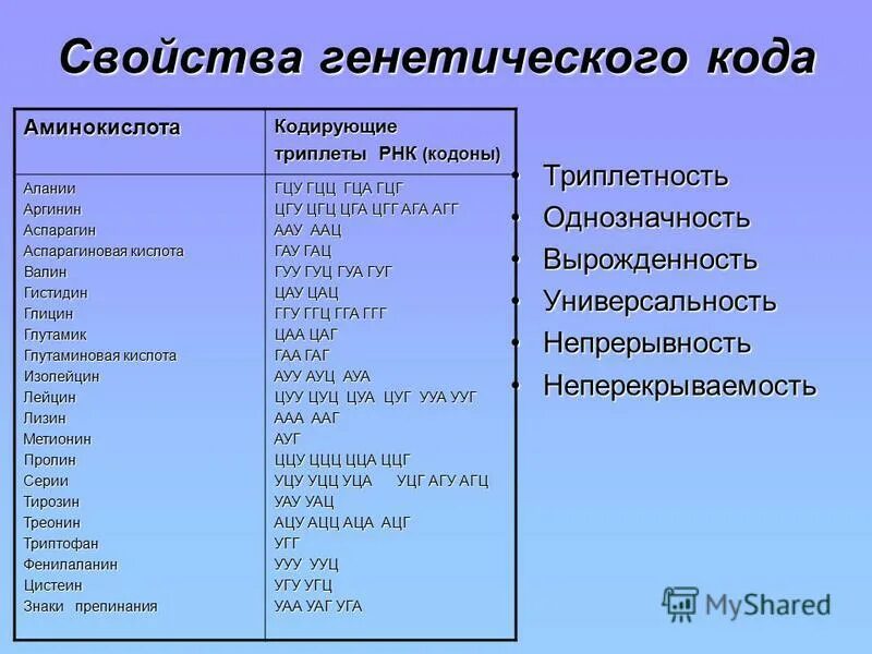 аминокислота может быть закодирована разными триплетами