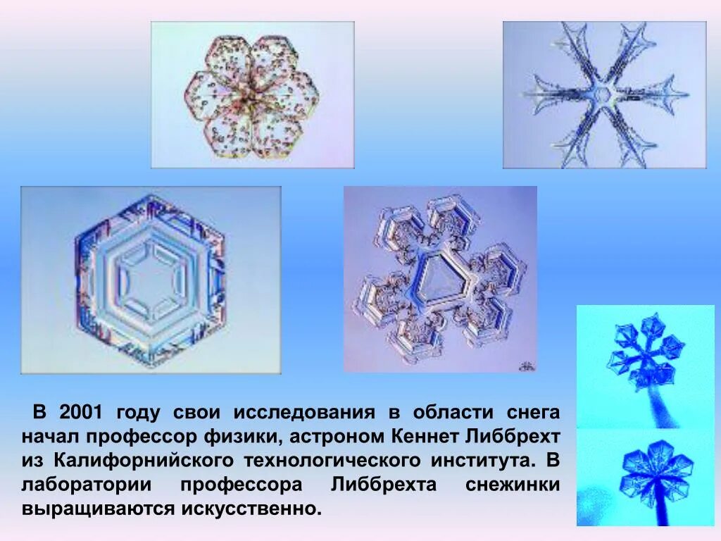 Почему снежинки разные. Снежинки образуются. Проект Снежинка. Строение снежинки. Разнообразие снежинок.