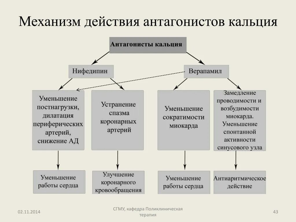 Механизм действия нифедипина состоит в