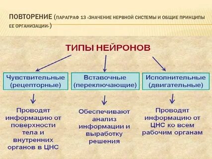 Повторить параграф