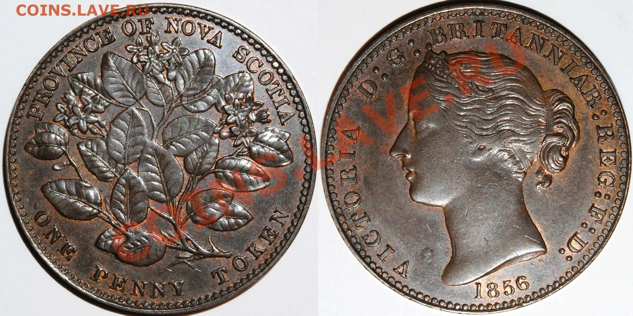 Испанские пиастры 17 век. Монеты английских колоний. Испанский дублон 17 век. Серебряная монета на прозрачном фоне. Африканские монетки 1.