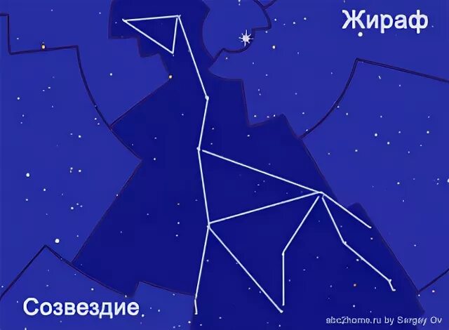 камелопардалис созвездие. жираф на звездном небе. альфа жирафа звезда в созвездии. My camelopardalis звезда. созвездие жираф схема.