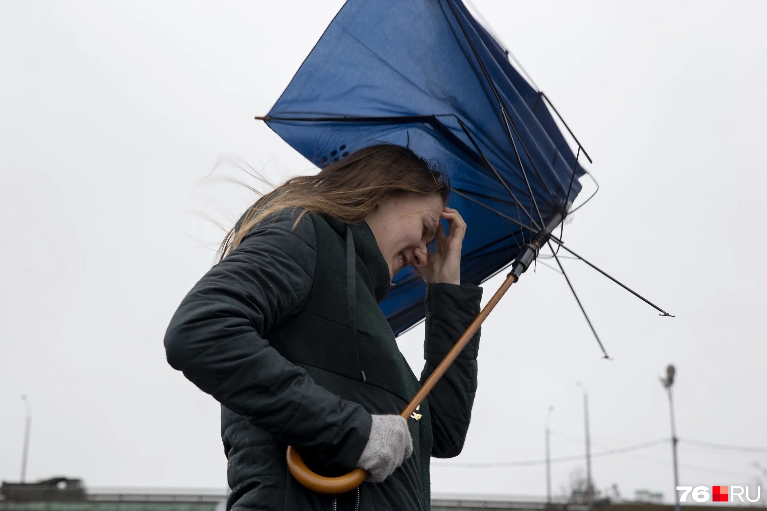 Ветер фото. Усиливающийся ветер сильно. Сильный ветер. Сильный ветер. Усиливающийся ветер сильно.