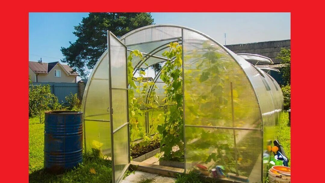 Теплицы тмк. Теплица оптима. Теплица оптима сборка. Тмк парник. Теплица 3 на 6.