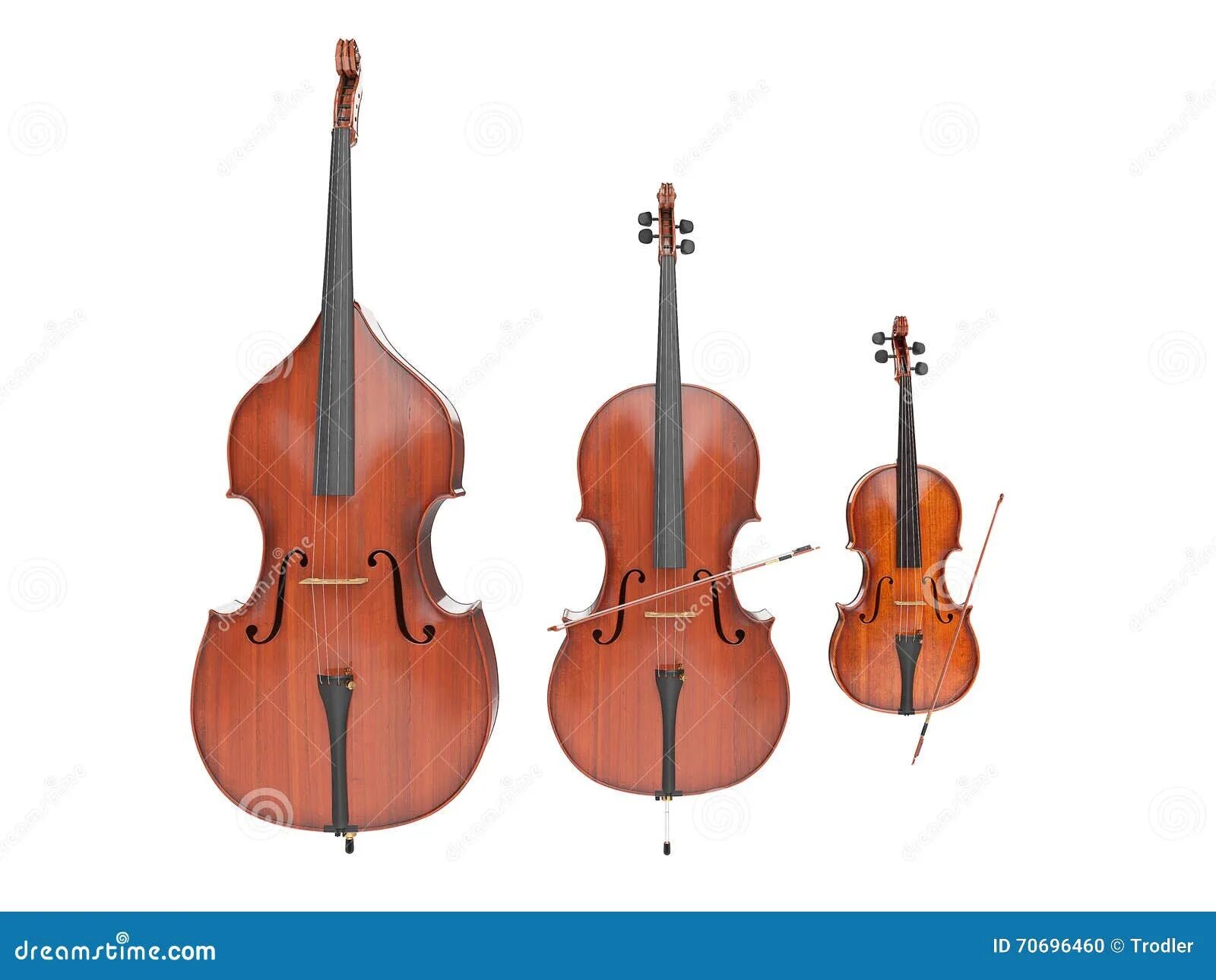 Две скрипки альт и бас. Violin viola cello double bass. скрипка альт виолончель контрабас отличия. альт виолончель контрабас. скрипка и контрабас.