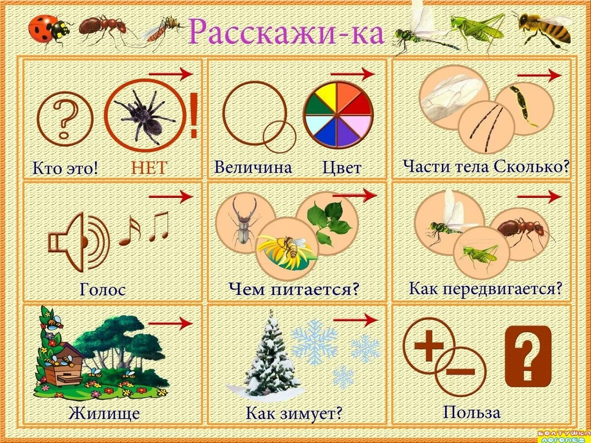 Расскажи каким образом. Схема составления описательного рассказа о насекомом. Мнемосхема насекомые для дошкольников. Схемы составления рассказов для дошкольников. Схемы описательных рассказов о насекомых для дошкольников.