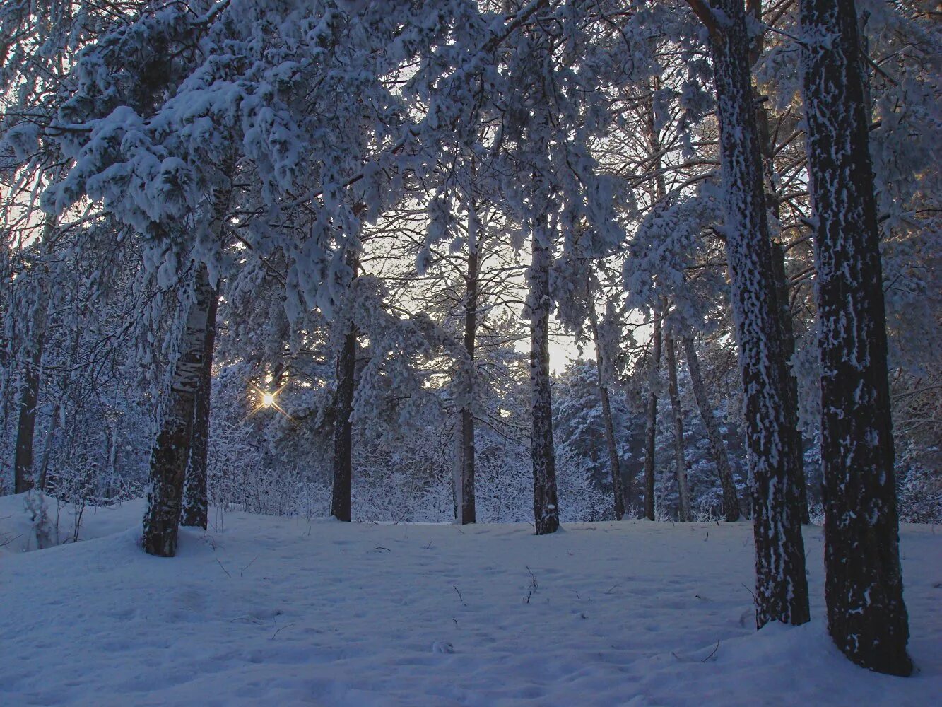 гидрометцентр назарово красноярский край