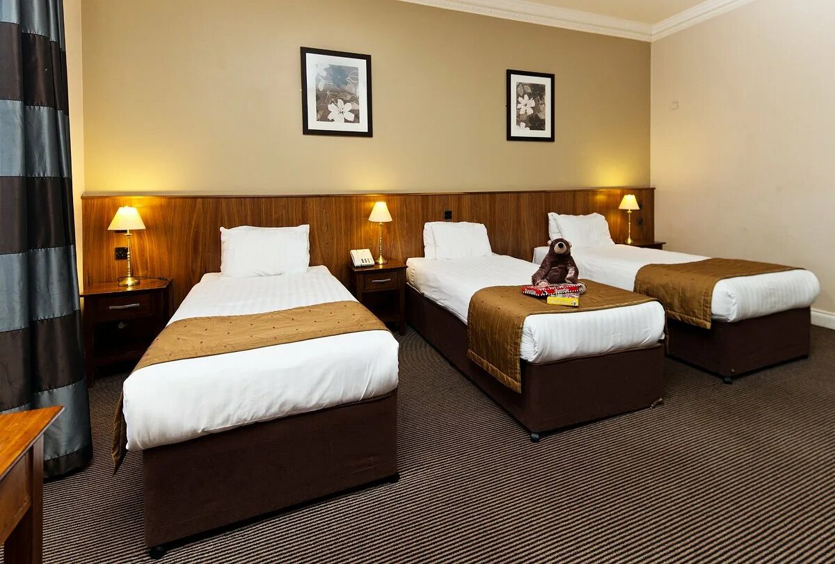 Triple room. Отель многоместный номер. Многоместный номер в гостинице. Номер triple. Grand majestic hotel prague.