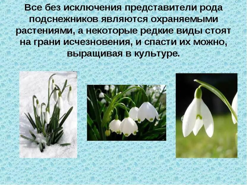Все без исключения представители