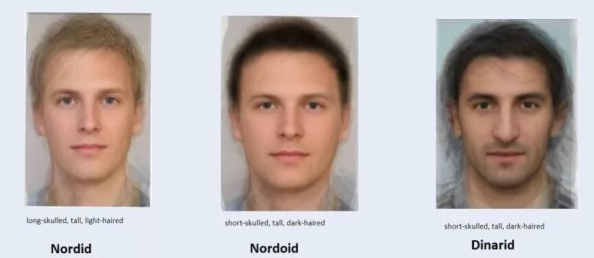 фенотипы европейской расы. северный атлантид фенотип. альпийская внешность. северный атлантид фенотип. северный понтид фенотип.