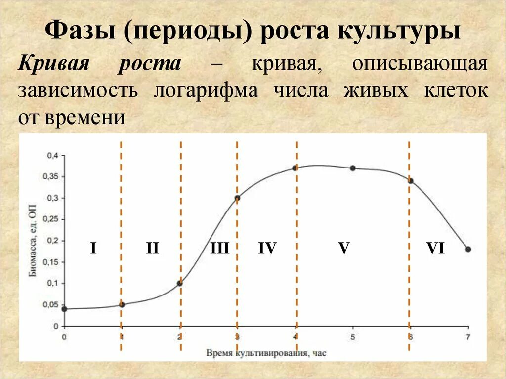 Период роста связанный. Кривая роста клеток. Кривая роста клеток в культуре. Кривая роста фазы. Кривая роста клеток фазы.