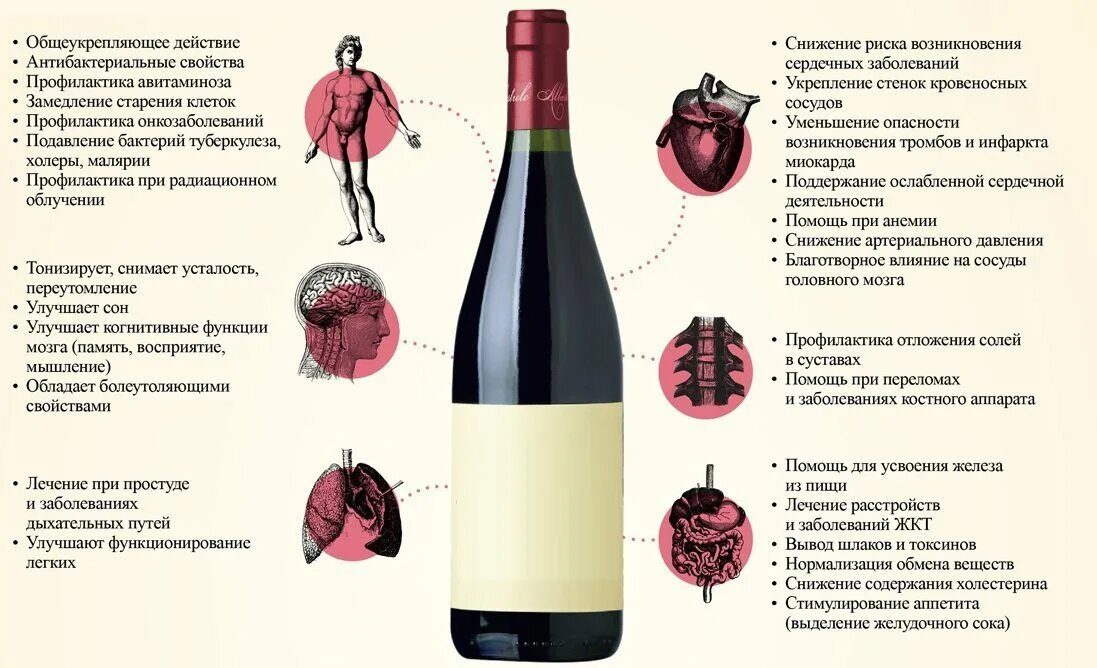 После употребления вина. Чем полезно вино. Польза красного вина. Полезность вина. Полезные красные вина.