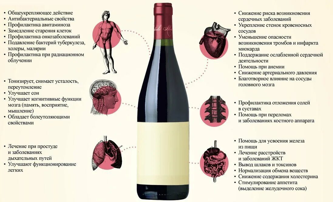 Вина тдд. Полезные свойства красного сухого вина. полезные красные вина. чем полезно вино. чем полезно красное вино.