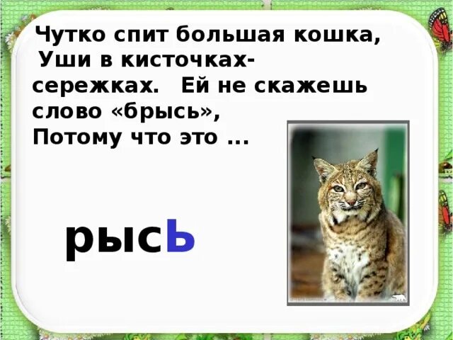 Рысь стих. Стих про Рысь. Загадка про Рысь. Загадка про Рысь для детей. Загадки про животных Рысь.