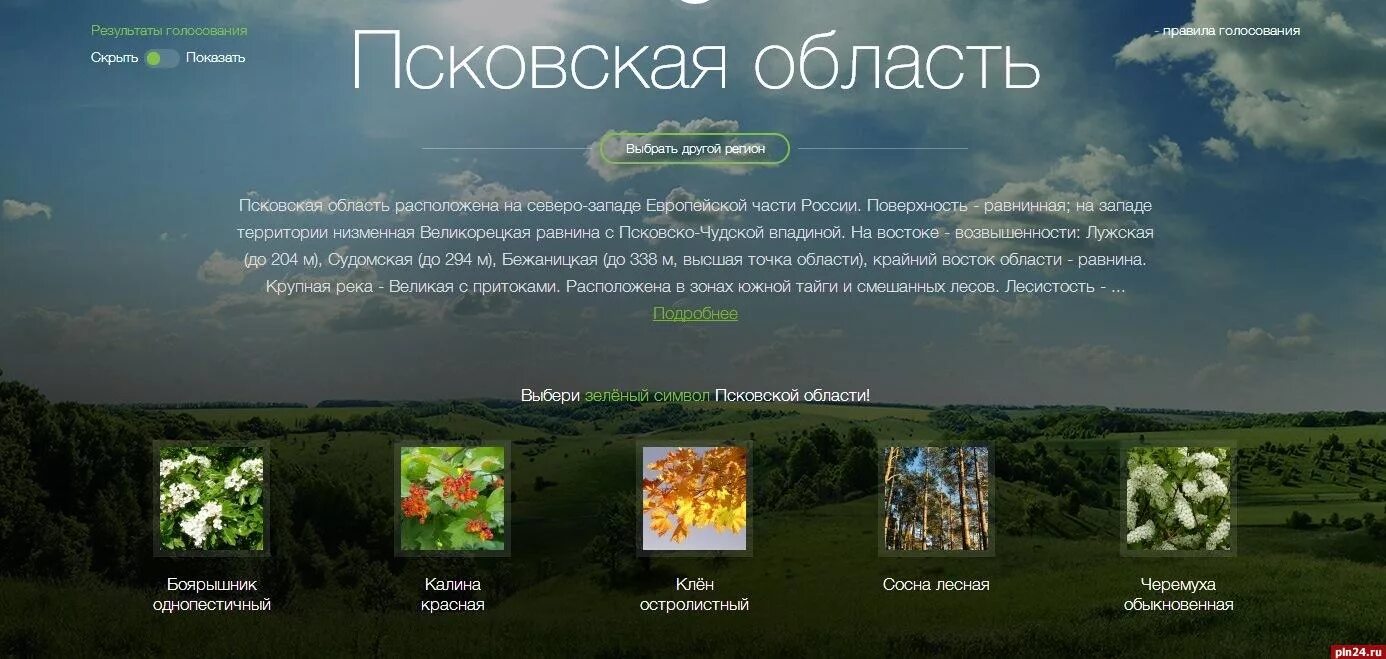 Тести псков. Псковская область растительность. растительный мир псковской области. растительность пскова. природа пскова и псковской области.