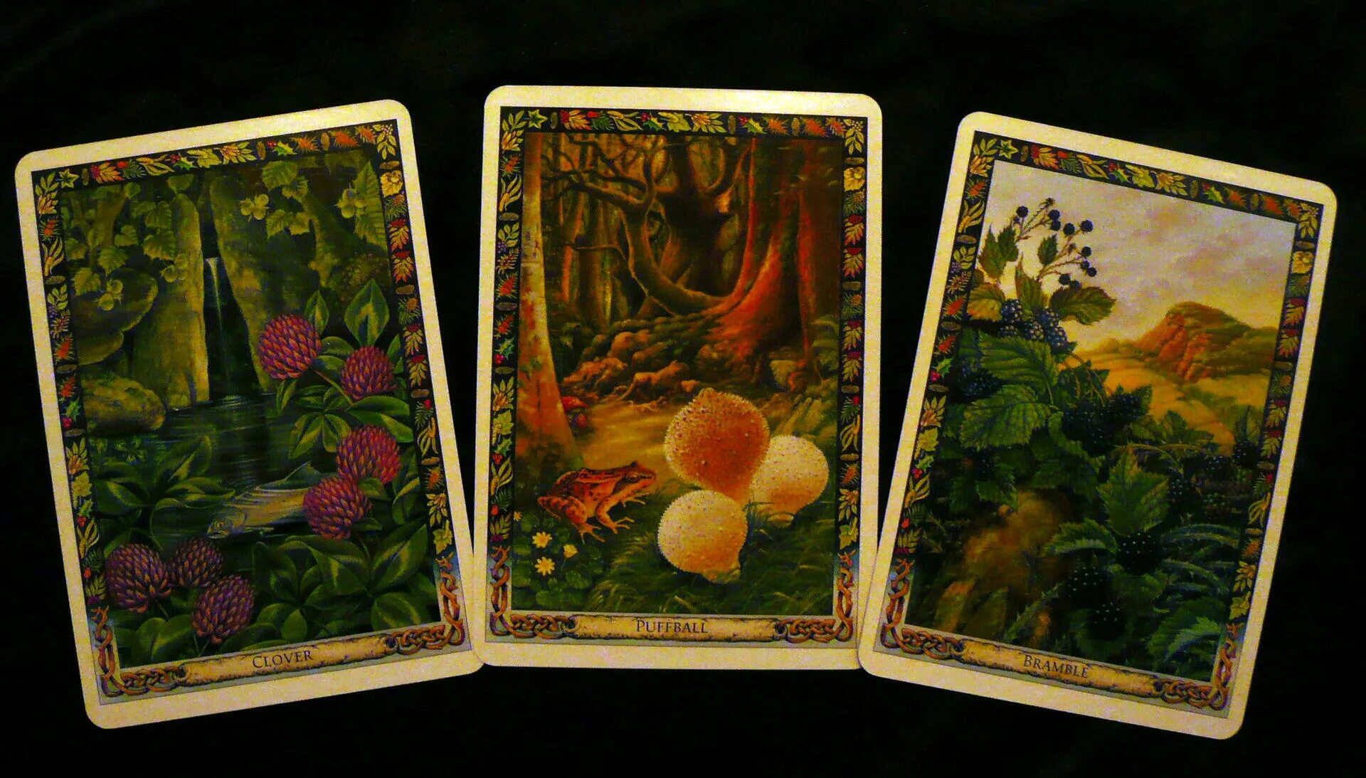 Колода таро witches tarot. Оракул грез - чертоги сновидений таро. Оракул чертоги сновидений. Оракул таро темное зеркало. Оракул грез галерея.