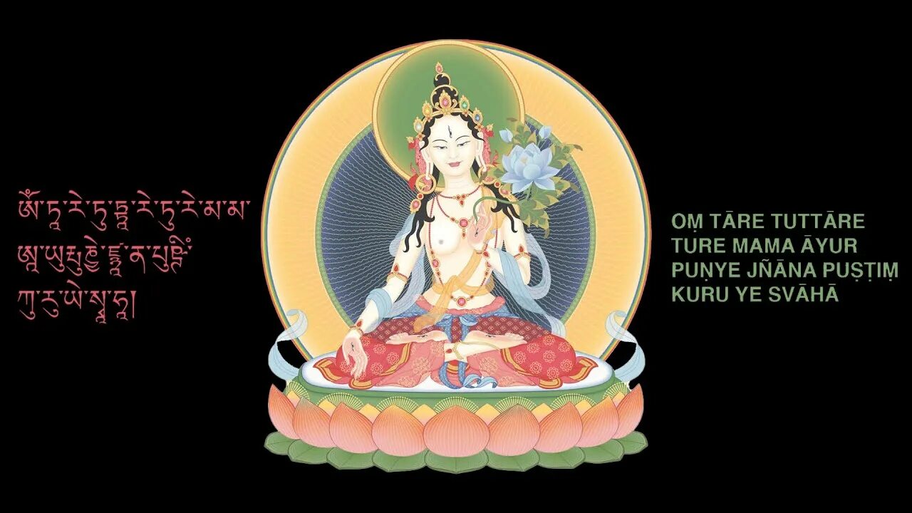 Таре туттаре туре соха значение. Мантра красной тары. white tara mantra. ом таре туттаре туре соха. мантра красной тары текст.
