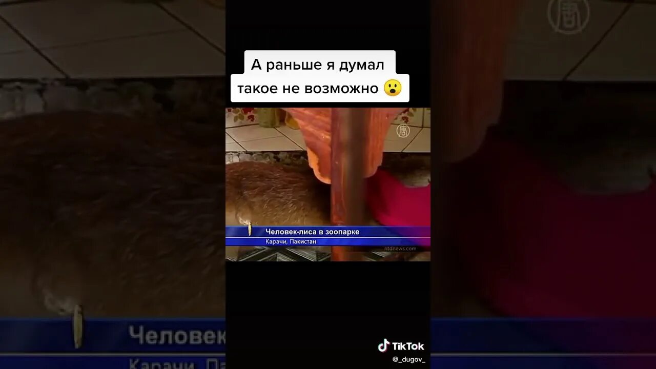 Мир наизнанку человек лис. Человек лиса в пакистане в зоопарке. женщина лиса в пакистане в зоопарке.