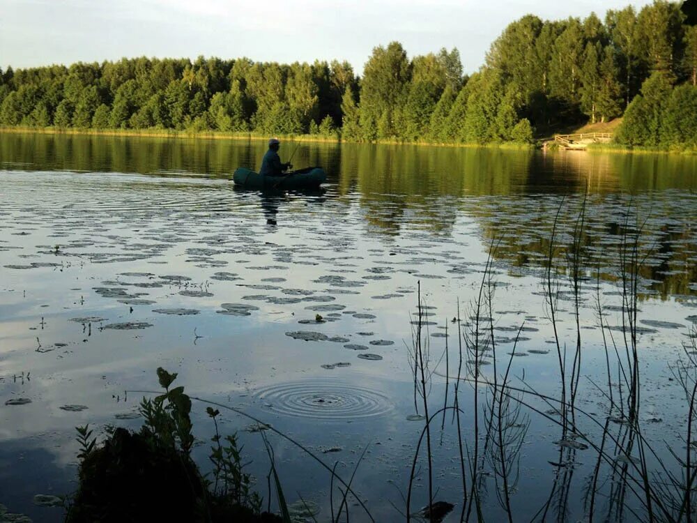 Воскресенское Поветлужье озеро. Озеро Светлояр Китеж. Озеро Китеж в Нижегородской. Град Китеж озеро Светлояр Нижегородская область. Град в озерах