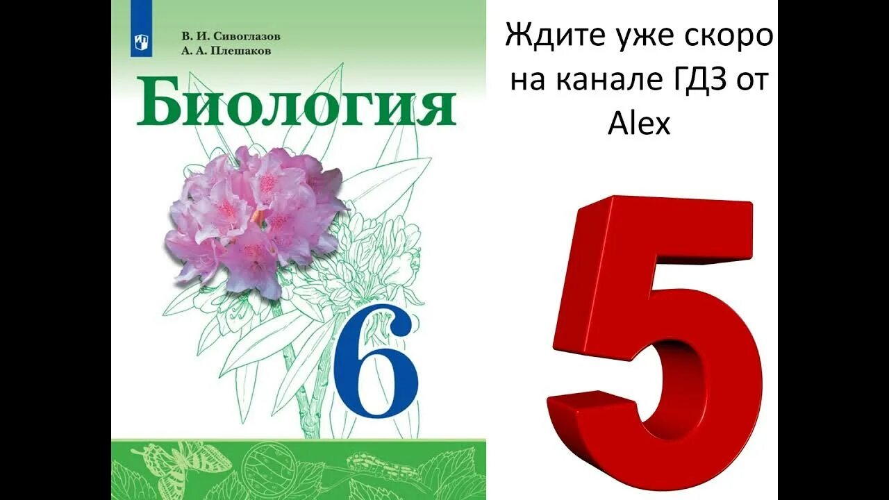 Учебник по биологии 6 класс сивоглазов. Сивоглазов плешаков биология 6 класс оглавление. Биология 6 класс сивоглазка. Учебник биологии 6 сивоглазов плешаков читать. Биология 7 класс учебник сивоглазов содержание.