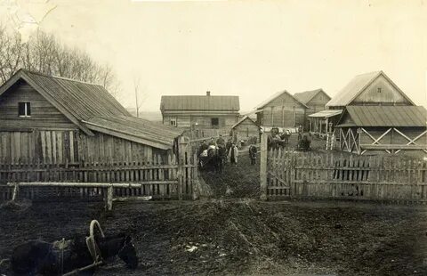 Турек кировская область