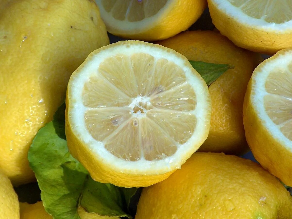 Лимон. Желтый лимон. Лимоны крупные. Недозрелый лимон.