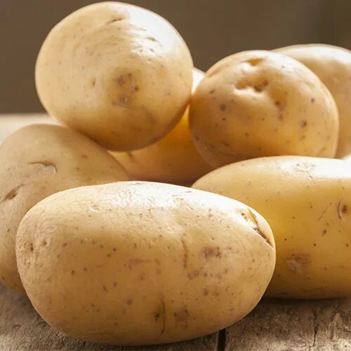 Сорт картофеля Коломбо. Картофель сорт Коломба. Картофель семенной Коломбо. Картофель сорта Каламба.