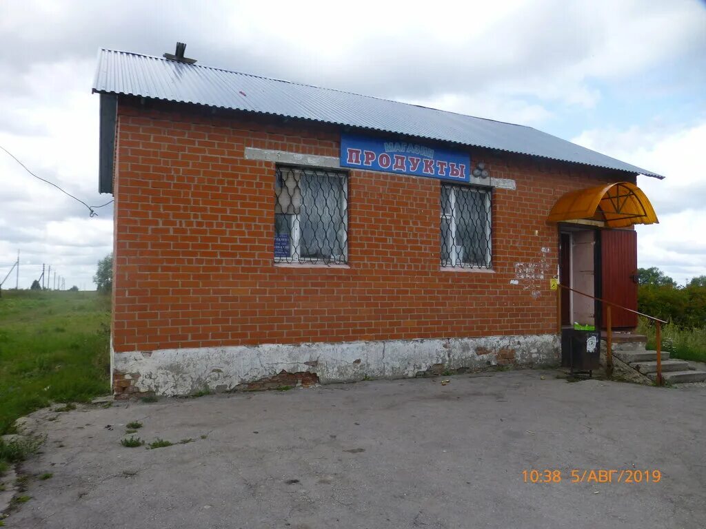 Добрые пчелы рязанская. Добрые пчелы рязанская