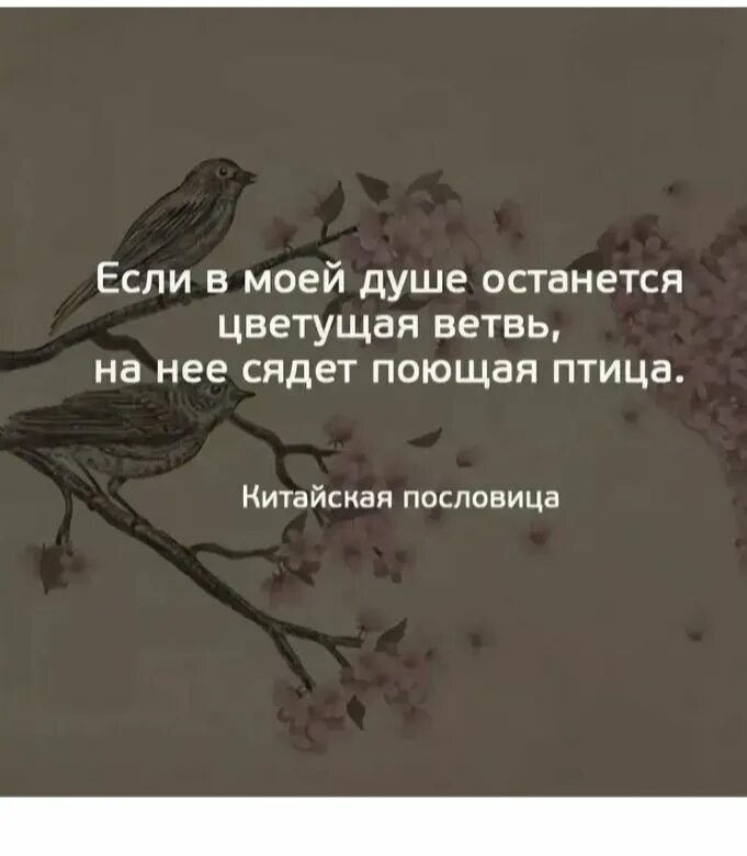 Птиц не было слышно потому что. Цитаты про птиц. Афоризмы про птиц. Красивые цитаты про птиц. Птичка цитаты.