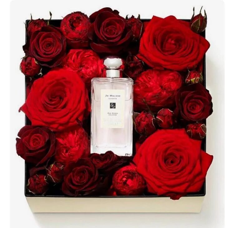 Jo Malone духи коробка. Парфюм Jo Malone Red Roses. Jo Malone духи красные.