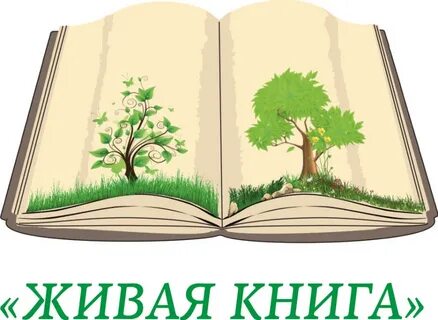Проект живая книга