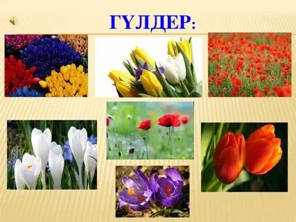 Ол қызына куннилингус порносын береді