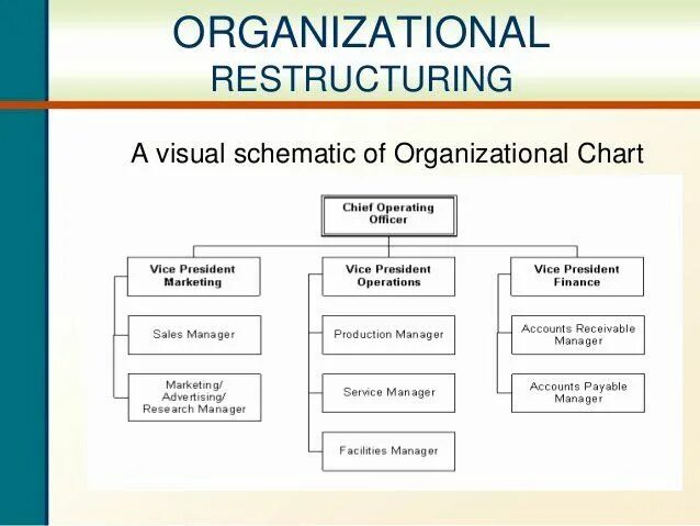 Organizational Chart. Organizational structure scheme. Project Organization scheme. Chief data Officer Organizational.