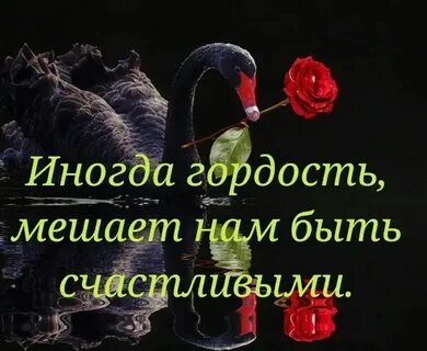 Гордость горделивость