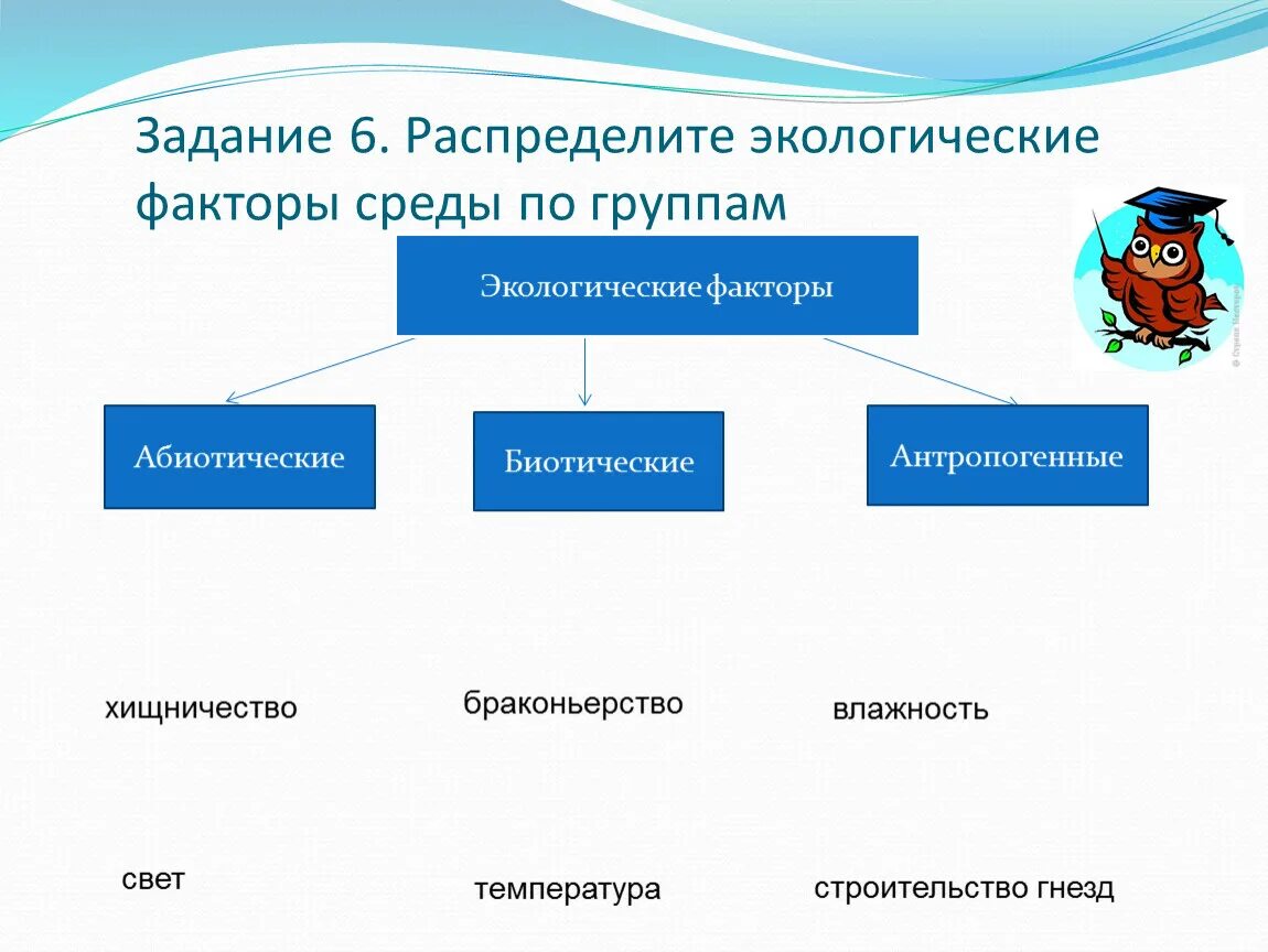 Распределите течения по группам. Экологические факторы среды. Факторы среды экологические факторы. Группы факторов среды. Экологические факторы по группам.