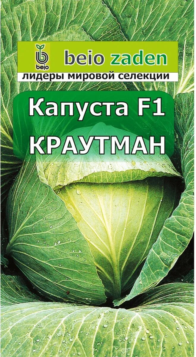 Фотогалерея капусты белокочанной сорта Крауткайзер F1 Планета земля Фотогалерея 