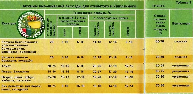 Световой день для рассады перцев. Таблица рассады овощей для высадки в грунт. Температура для рассады. Минимальная температура для всходов. Минимальная температура для рассады.