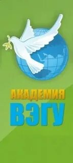 Академия вэгу сайт