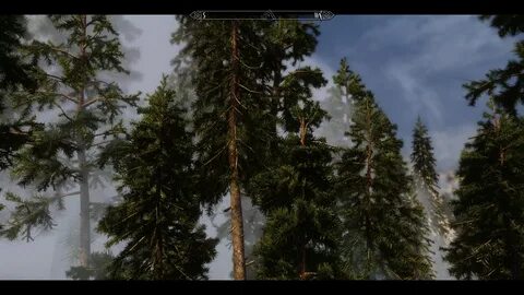 Skyrim 3d