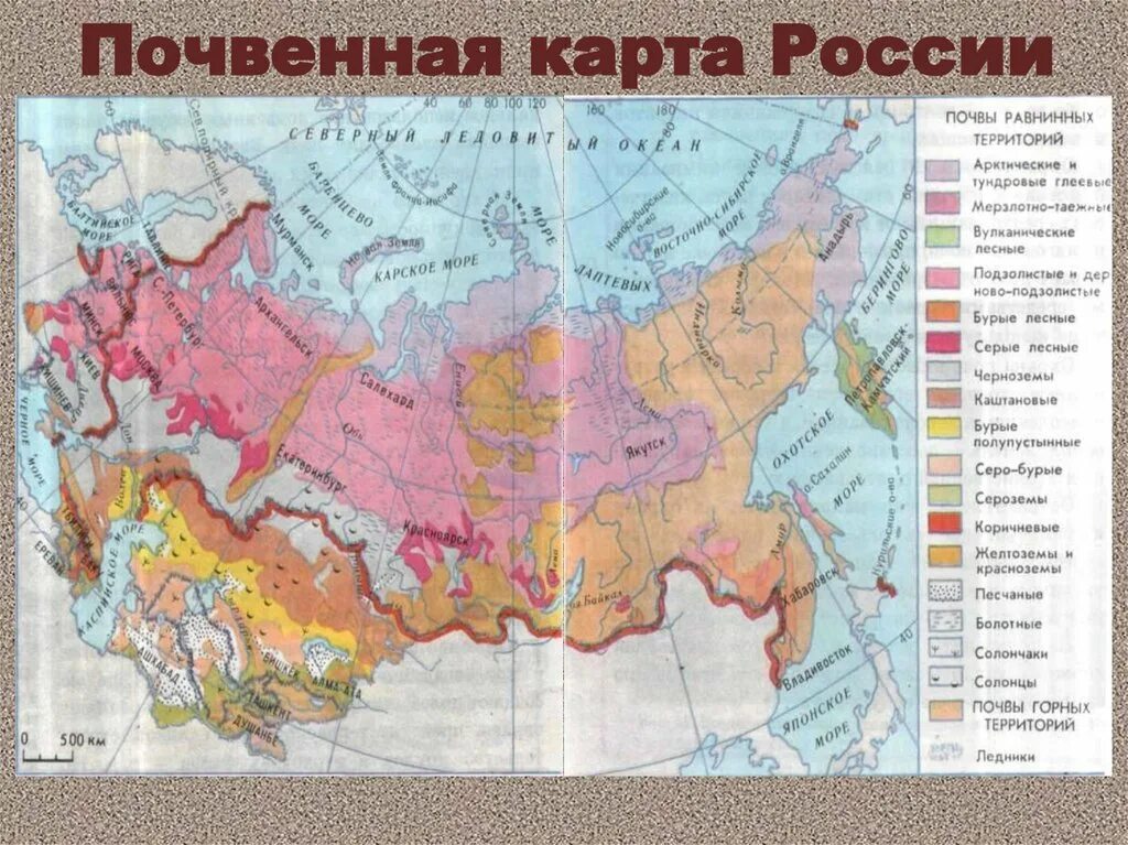 Лучшие почвы россии. Карта плодородия почв России. Карта почв России 8 класс. Виды почв на карте России. Типы почв РФ карта.