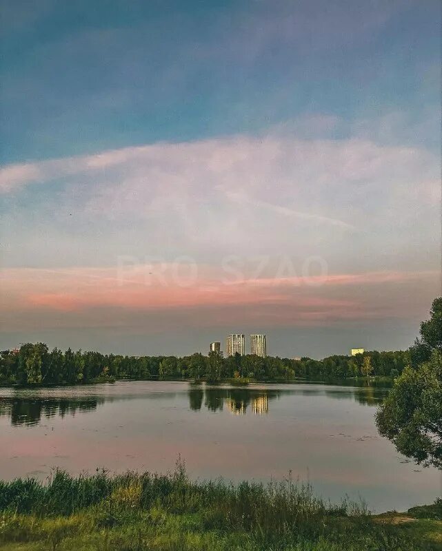 Парк красносельский район южно приморский спб. Нижний ист-сайд манхэттен. Строгинский мост. Парк яблоневый сад строгино. Строгино 2000 годы.